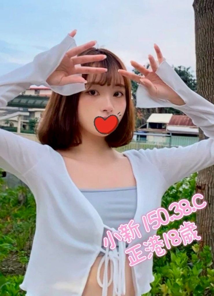 芯苑 小新