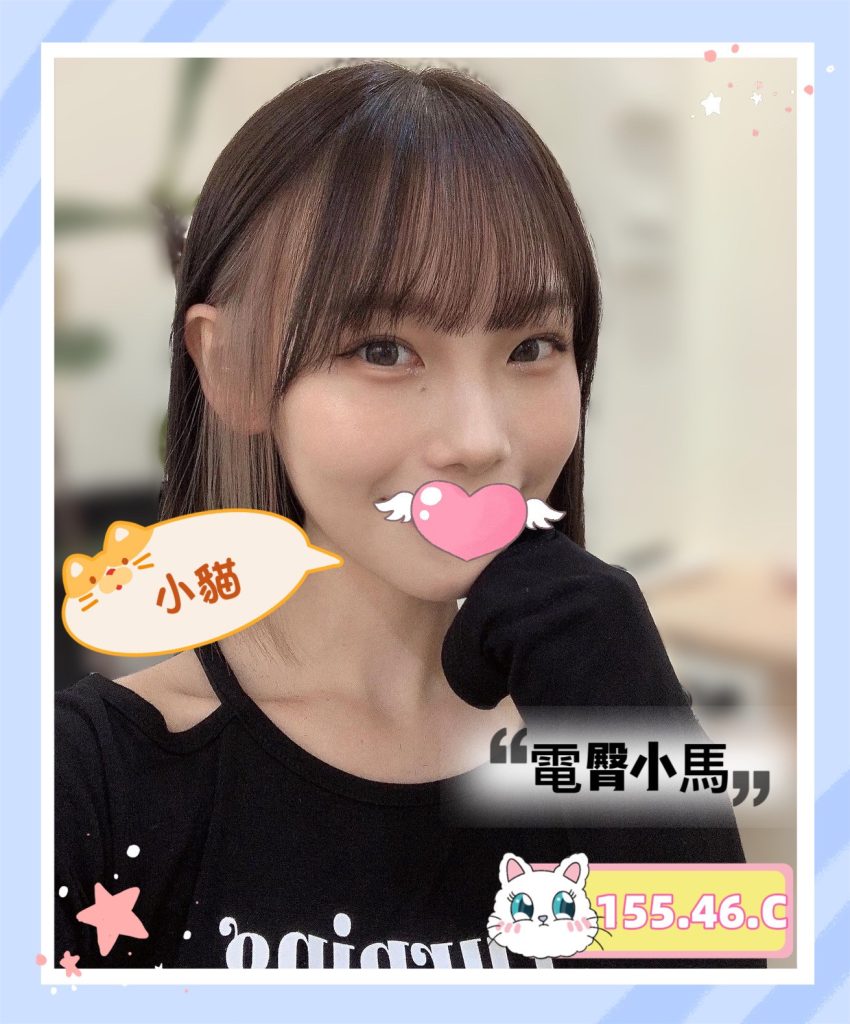 愛寶 小貓